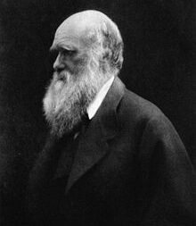 بررسی کامل نظریه تکامل داروینیسم و نئو داروینیسم