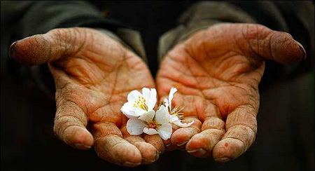 طرح رایگانی برای خیریه های کل کشور
