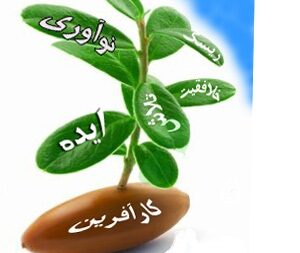 تجربیات کارافرینی – قسمت هشتم