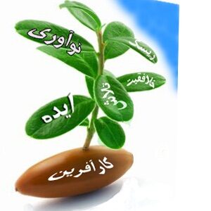 تجربیات کارافرینی – قسمت هشتم