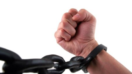 بهترین برنامه روزانه