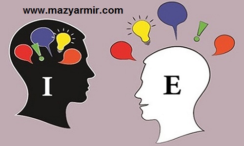 درونگرا برونگرا