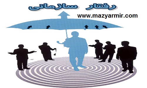 مروری بر رفتار سازمانی حرفه ای