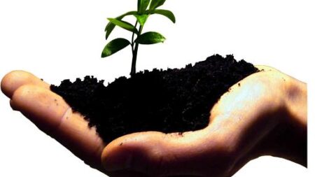 حقایق کارافرینی