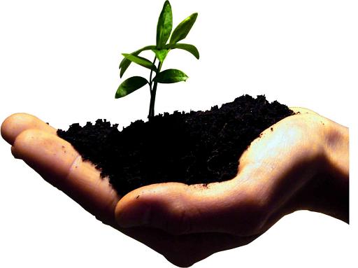 حقایق کارافرینی