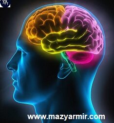 حافظه وذهن ویادگیری و آموزش پیشرفته