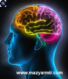 حافظه وذهن ویادگیری و آموزش پیشرفته