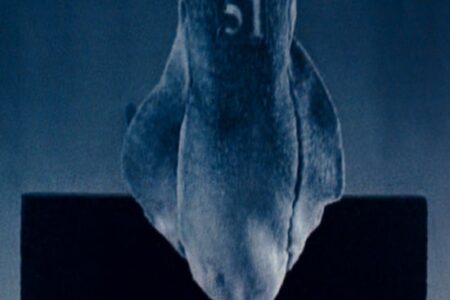 نقد و بررسی انیمیشن کوتاه تعادل